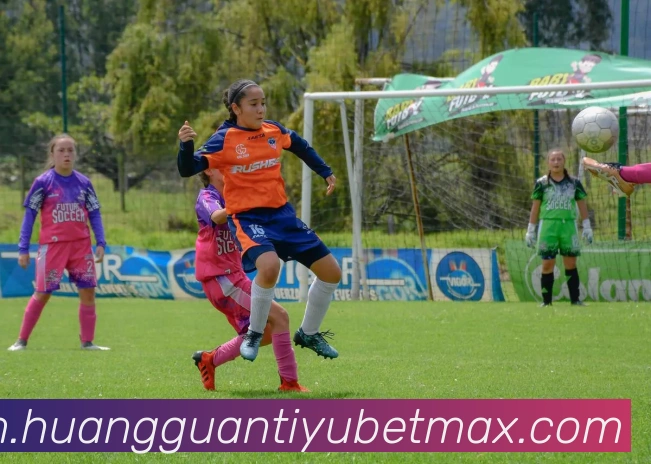 皇冠体育APP 体育赛事宣传图